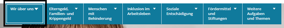 Die dunkelblaue Menü-Leiste. Dort stehen 7 Worte 